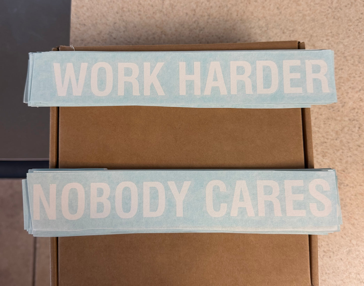 Work Harder / Nobody Cares