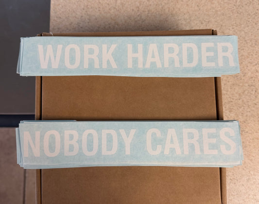 Work Harder / Nobody Cares